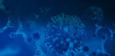 CGT related services 