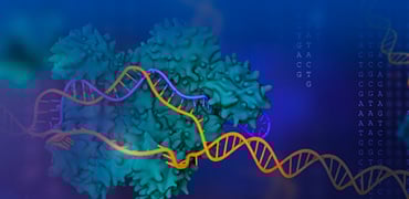 Gene Editing Services