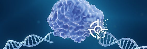 A Guide to Efficient CRISPR gRNA Design: Principles and Design Tools