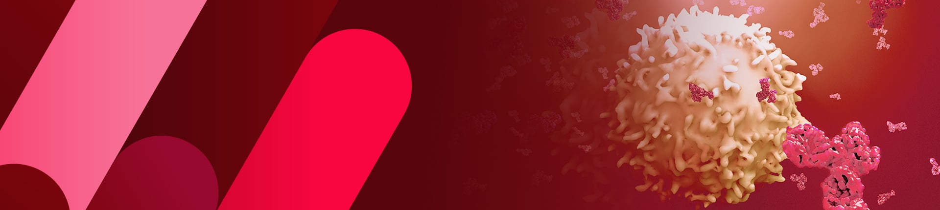 Antibody Development and Production Services