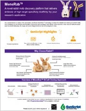 MonoRab™ Rabbit mAb Generation Platform