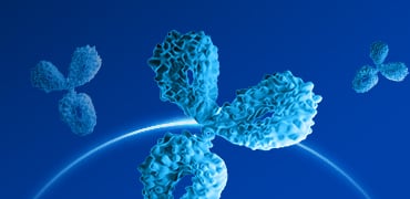 Accelerating Therapeutic Antibody Development: Discover Our Cutting-Edge CHO Expression Technology