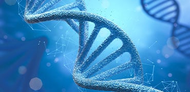 Advancing Small Nucleic Acid Drug Development with a One-Stop Solution