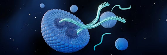 An All-in-One mRNA-LNP System for CRISPR Genome Editing