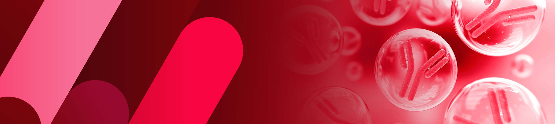 Large-scale Antibody Manufacturing Services