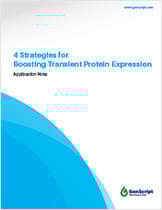 Optimizing Recombinant Antibody Expression