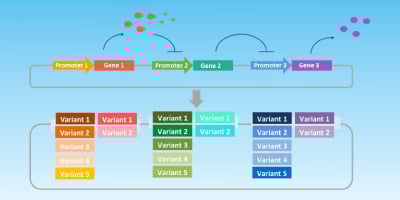 Arrayed High-Throughput DNA Library Assembly; Optimizing Gene Circuits for Therapeutic Applications