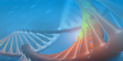 Representative Combinatorial DNA Library Assembly; Improving Product Yield Using Combinatorial Design in Yeast