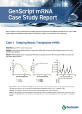 IVT mRNA Case Study Report