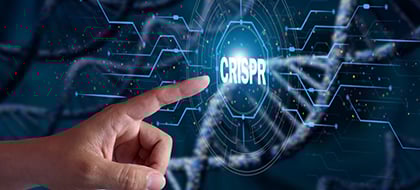 Multiplex Editing T Cells with BE and Cas12 | GenScript