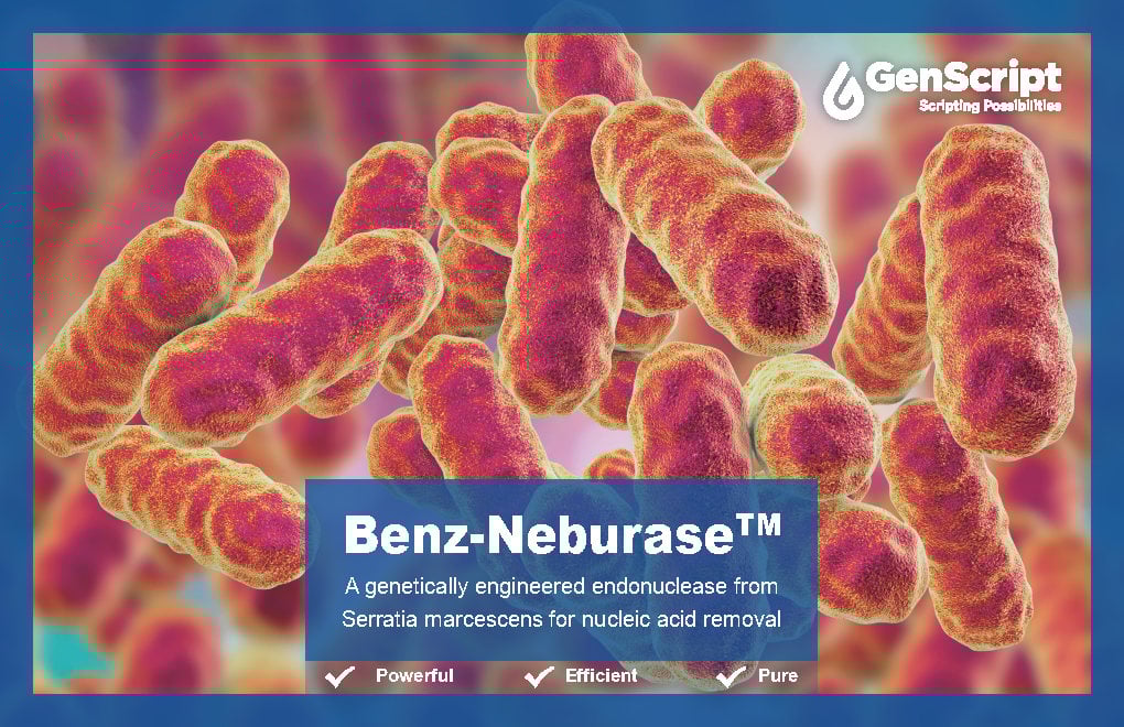 Benz-Neburase