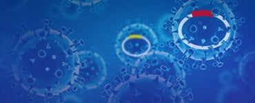 CRISPR gRNA Libraries