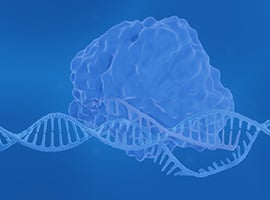 CRISPR News