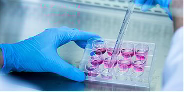 Disease Model Generation Using CRISPR