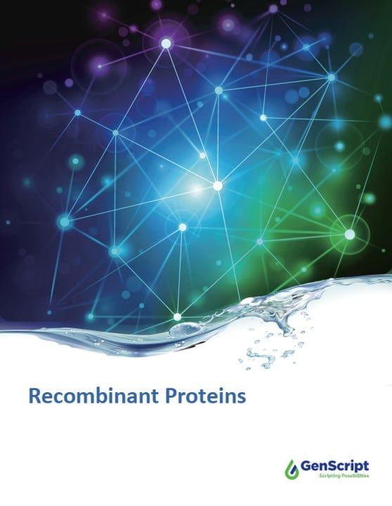 Recombinant Proteins Brochure 2024