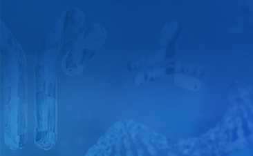 TurboCHO™ High Throughput Platform