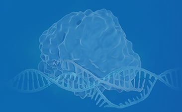 GenCRISPR Synthetic sgRNA