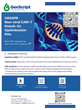 CRISPR CAR-T KI Optimization Kit