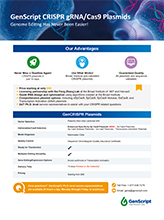 CRISPR gRNA Plasmids