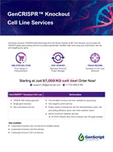 CRISPR KO Cell Lines