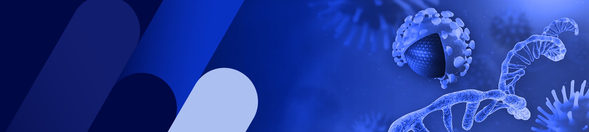 GenScript Cap™ Technology 