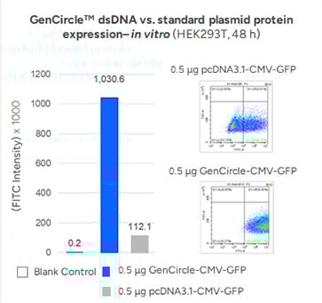 GenCircleTM dsDNA vs. standard plasmid protein expression– in vitro (HEK293T, 48 h)
                
