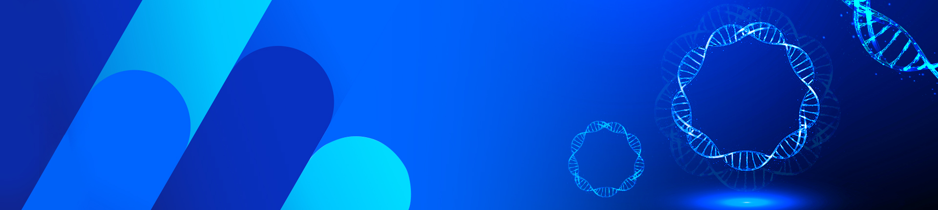 GenCircle™ Double-Stranded DNA