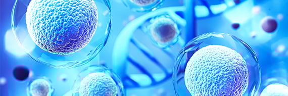 An All-in-One mRNA-LNP System for CRISPR Genome Editing