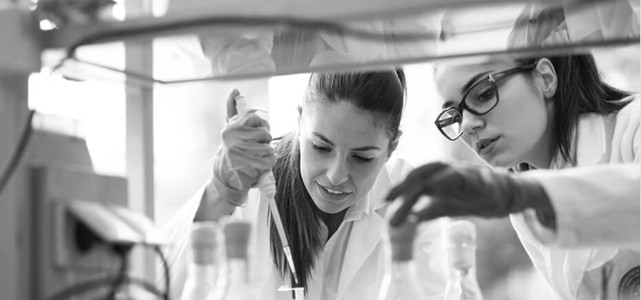 Custom Sucloning Services