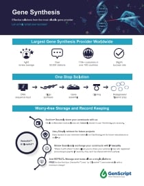Molecular Biology Services Brochure