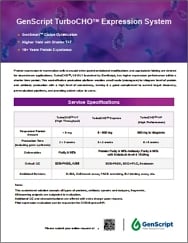 TurboCHO™ Expression Service