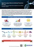 High Throughput Antibody Production