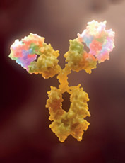 Feature Article in Nature