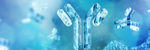 How to Optimize Transient Gene Expression in CHO Cells for Recombinant Antibody