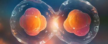 Cell Isolation/Activation