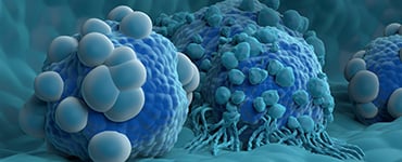 In Vitro CAR-TCR Evaluation 