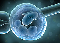 CELL Selection/Isolation