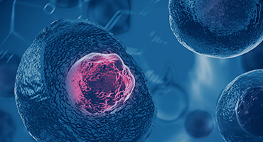 Cell Therapy Solution