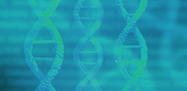 Gene variant libraries