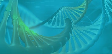 High Throughput DNA Library Assembly Service