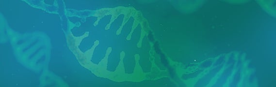 HTP Site Directed Mutagenesis Service