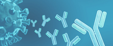 Humoral Immunity Evaluation