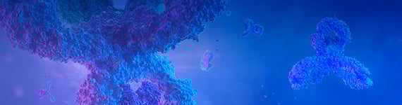 Antigen Identification &  Selection