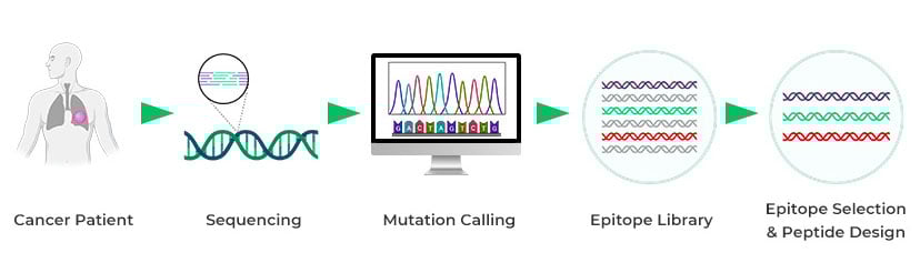 Tumor Study Workflow