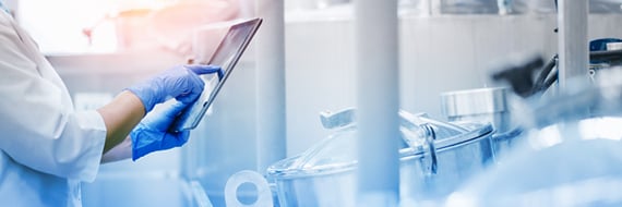 The Importance of Plasmid DNA Quality Controls