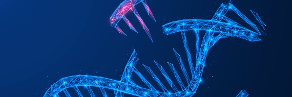 Improving sgRNA Purity through Purification Process Improvement