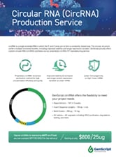 Circular RNA Service Flyer 