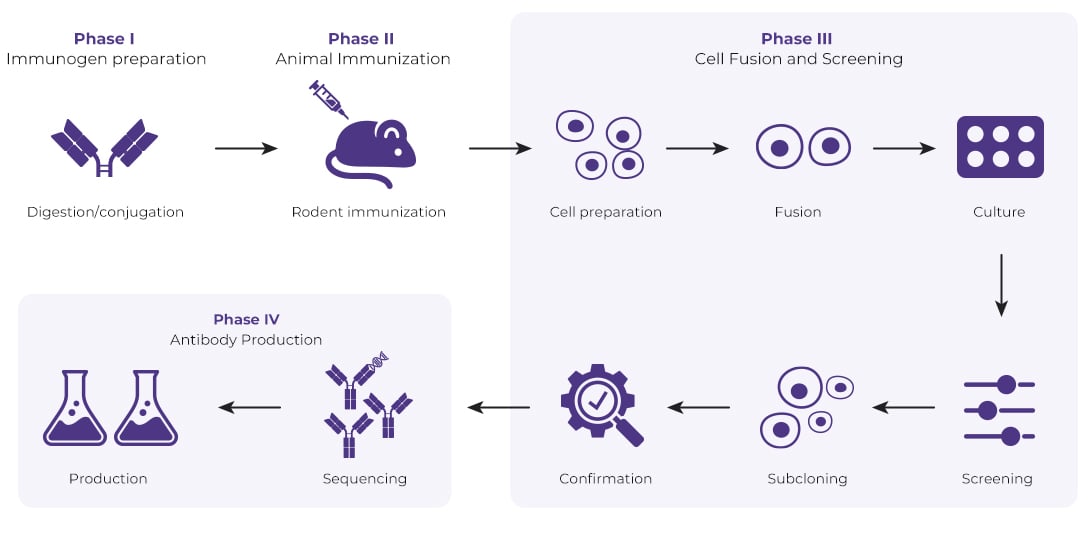 Anti-ID Mouse Monoclonal Antibody Package