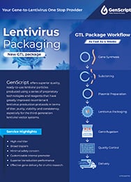 Lentivirus Packaging