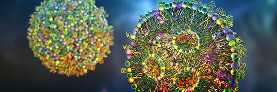 Lipid Nanoparticles - The Vanguard of CRISPR Delivery Systems